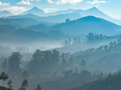 2138cn太阳集团古天乐(集团)股份有限公司